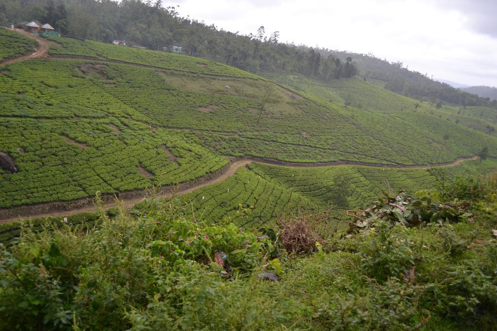 Ferndale Homestay Thekkady Exterior foto