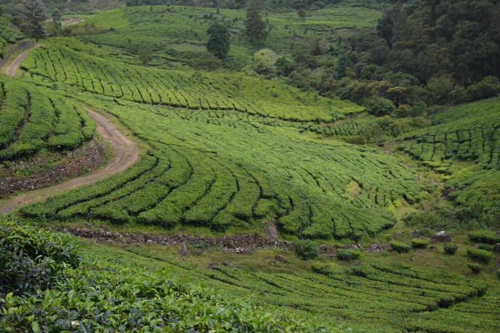 Ferndale Homestay Thekkady Exterior foto