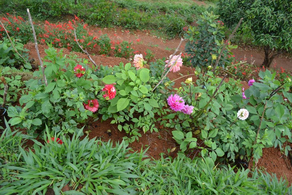 Ferndale Homestay Thekkady Exterior foto