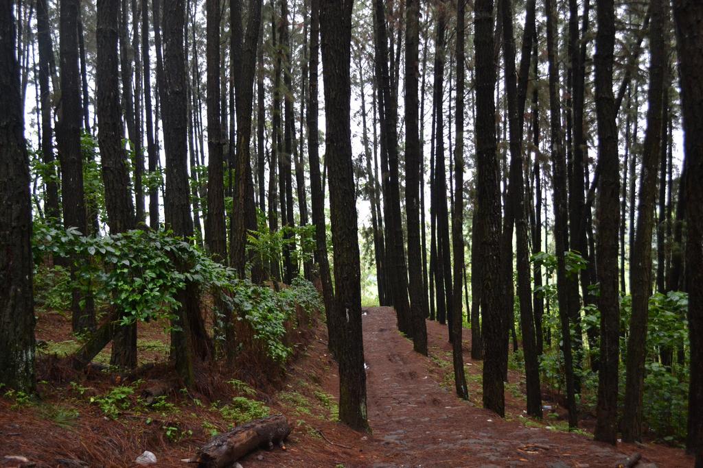 Ferndale Homestay Thekkady Exterior foto