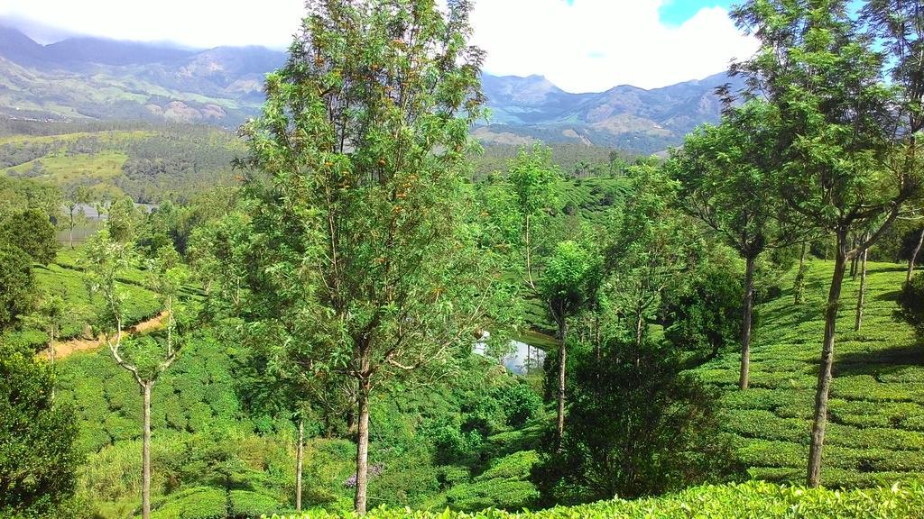 Ferndale Homestay Thekkady Exterior foto