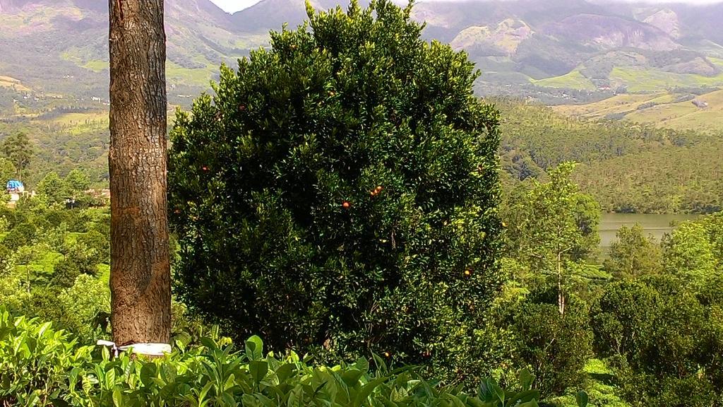 Ferndale Homestay Thekkady Exterior foto