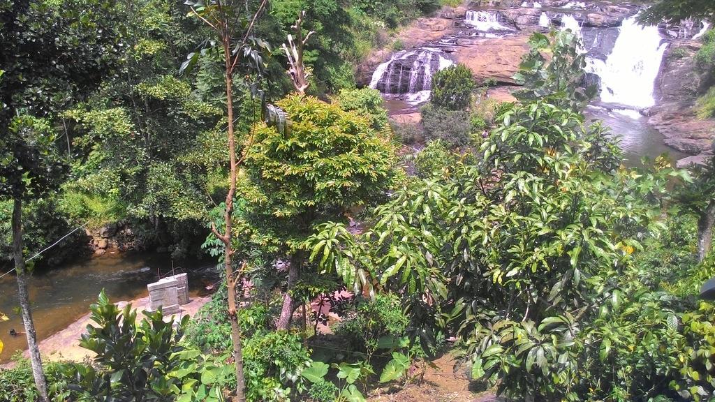 Ferndale Homestay Thekkady Exterior foto